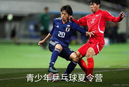 青少年乒乓球夏令营品牌故事